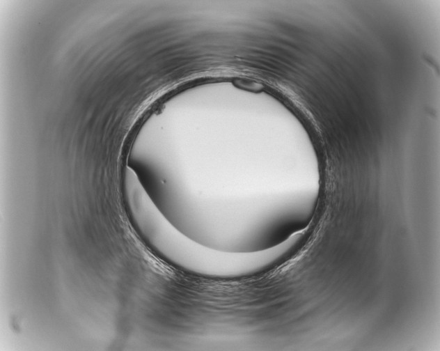 X0000099400837200805291208