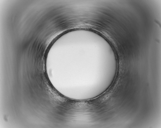 X0000099400838200805291208