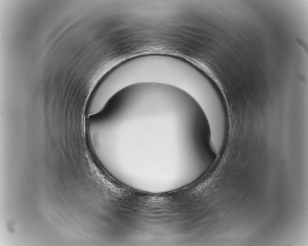 X0000099400839200805291208