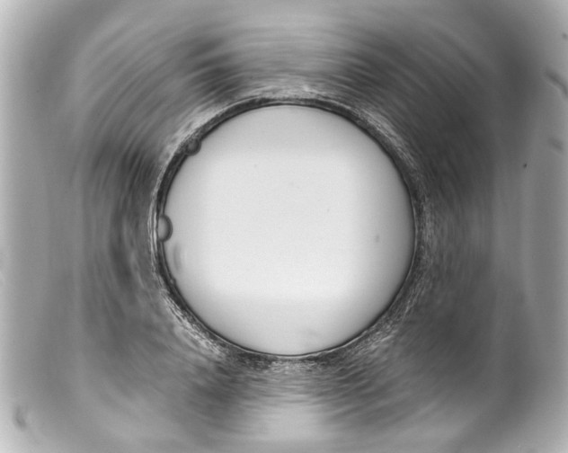 X0000099400840200805291208