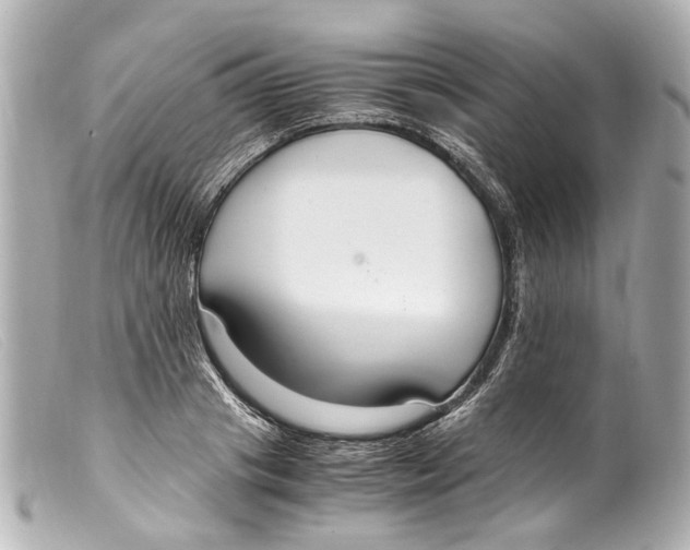 X0000099400841200805291208