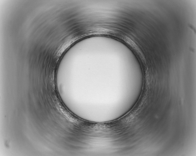 X0000099400842200805291208