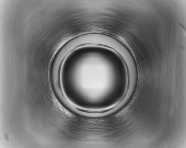 X0000099400843200805291208