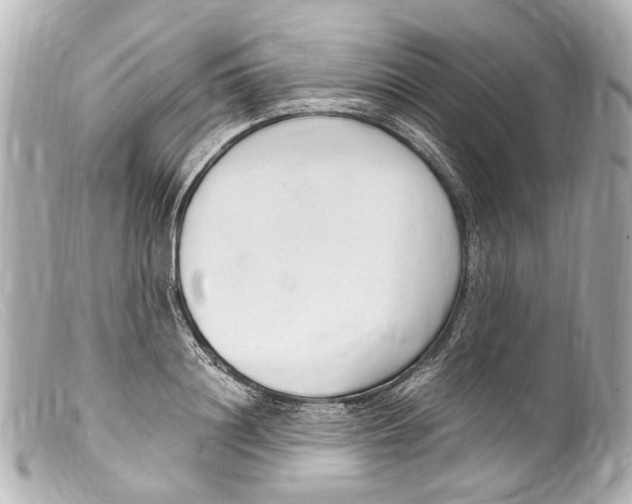 X0000099400844200805291208