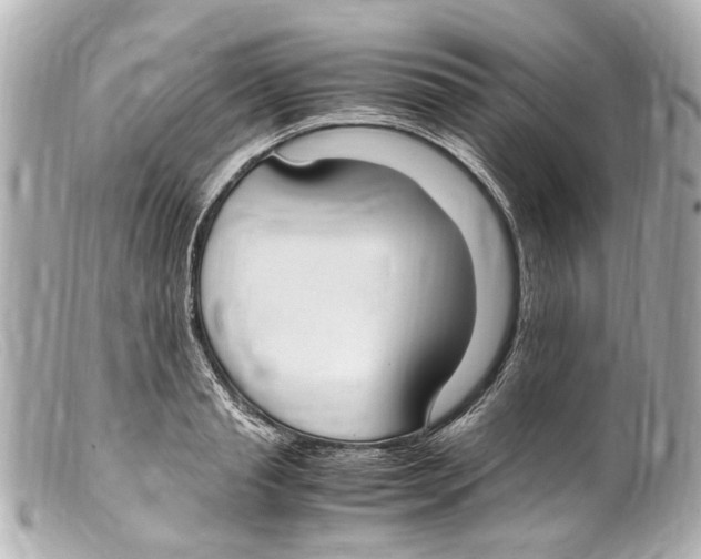 X0000099400845200805291208