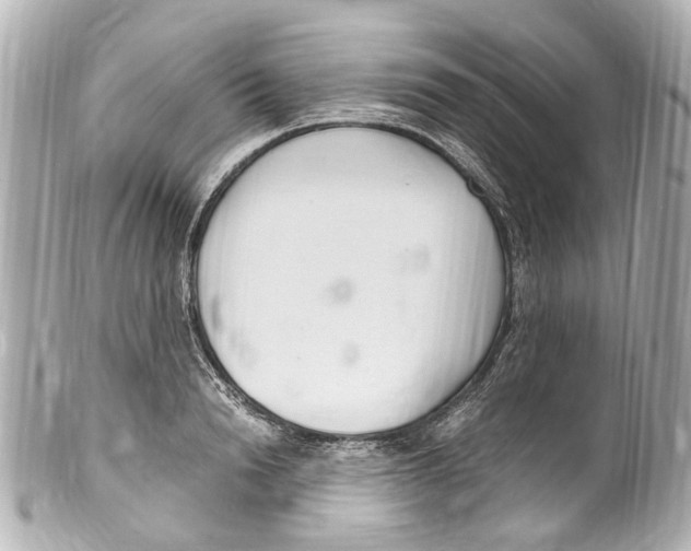 X0000099400846200805291208