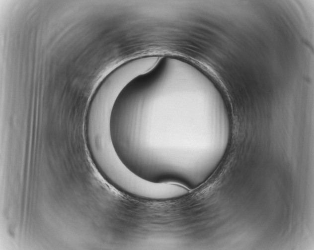 X0000099400847200805291208