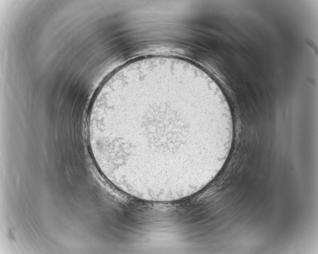 X0000099400848200805291208