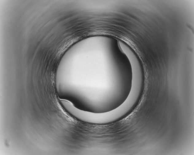 X0000099400849200805291208