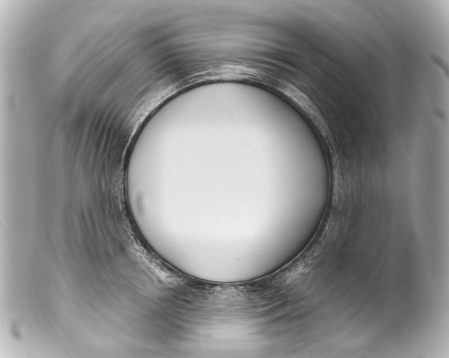 X0000099400850200805291208