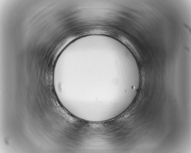 X0000099400852200805291208