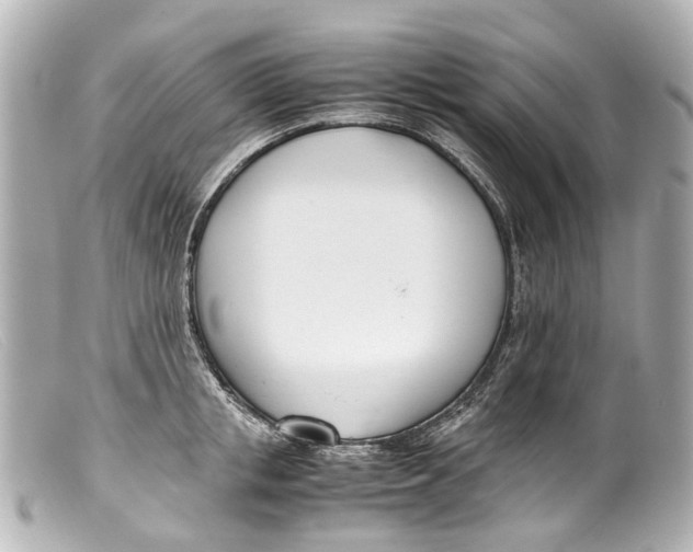 X0000099400853200805291208