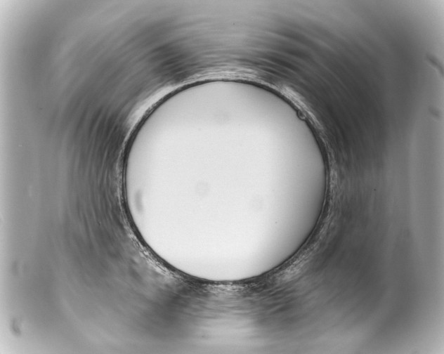 X0000099400854200805291208