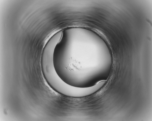 X0000099400855200805291208