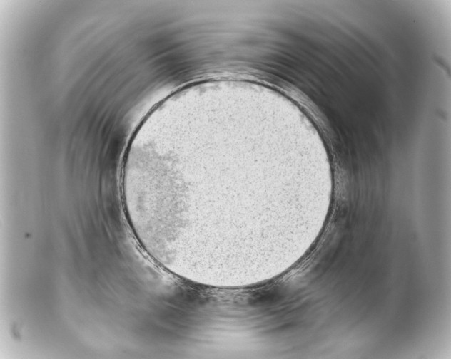 X0000099400856200805291208