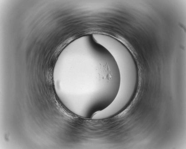 X0000099400857200805291208