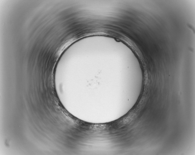 X0000099400858200805291208