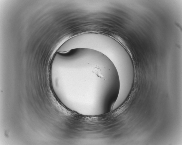 X0000099400859200805291209