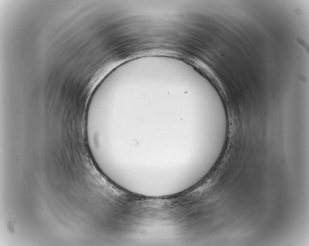 X0000099400860200805291209