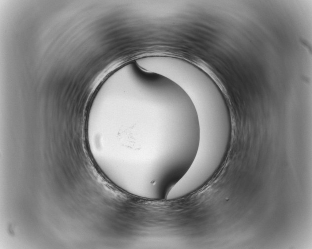 X0000099400861200805291209