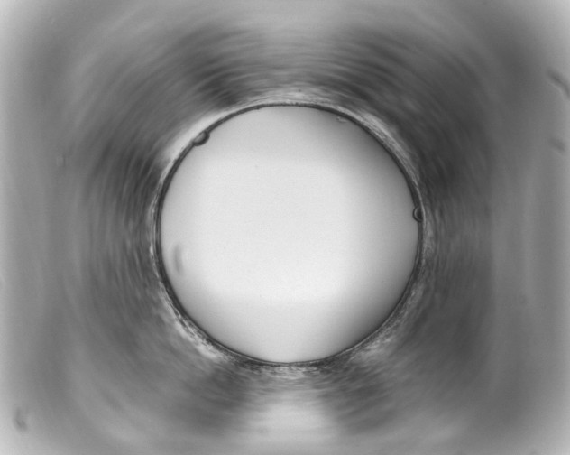 X0000099400862200805291209