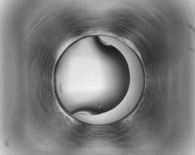 X0000099400863200805291209