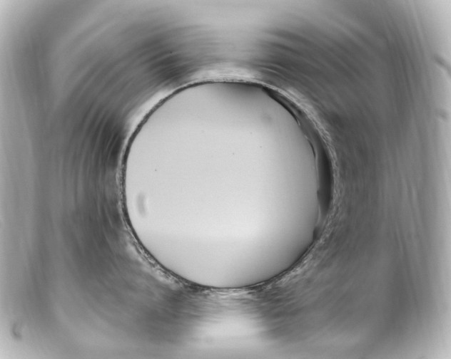 X0000099400864200805291209