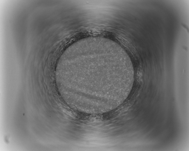 X0000099400865200805291208