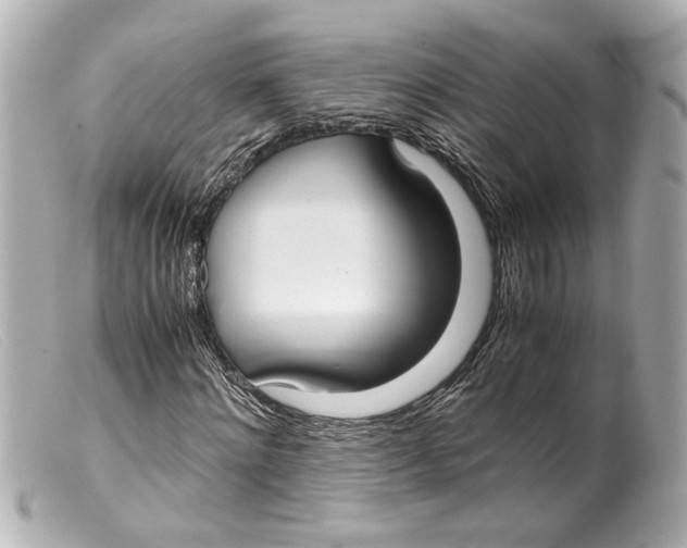 X0000099400868200805291208