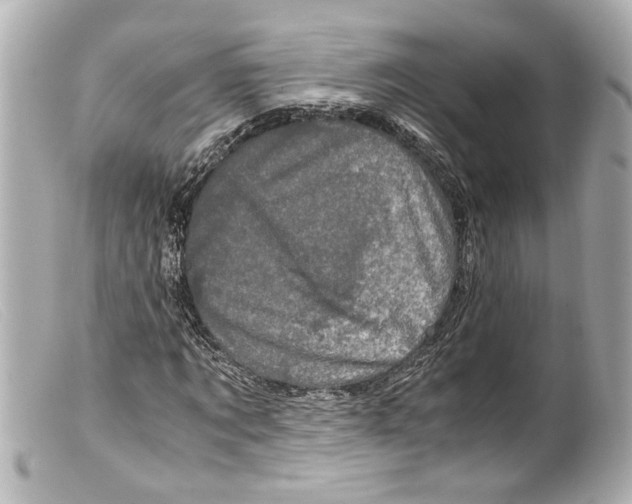 X0000099400869200805291208