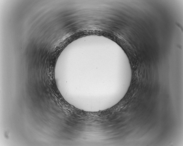 X0000099400870200805291208