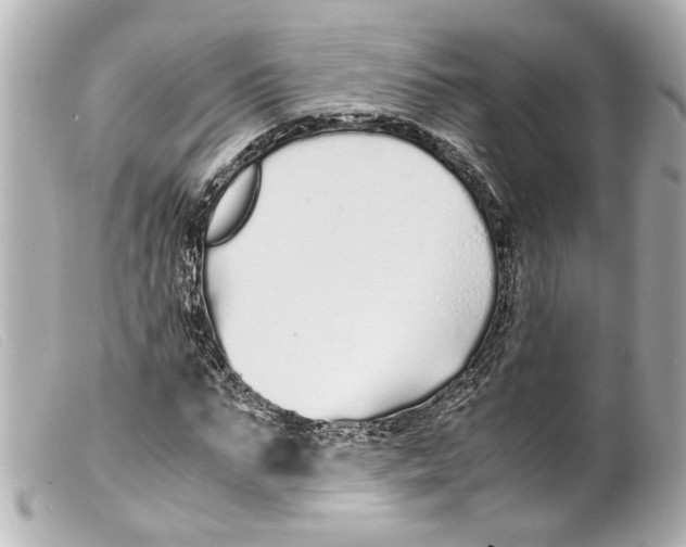 X0000099400871200805291208