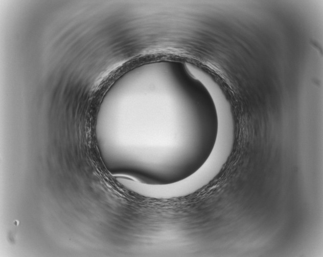 X0000099400872200805291208