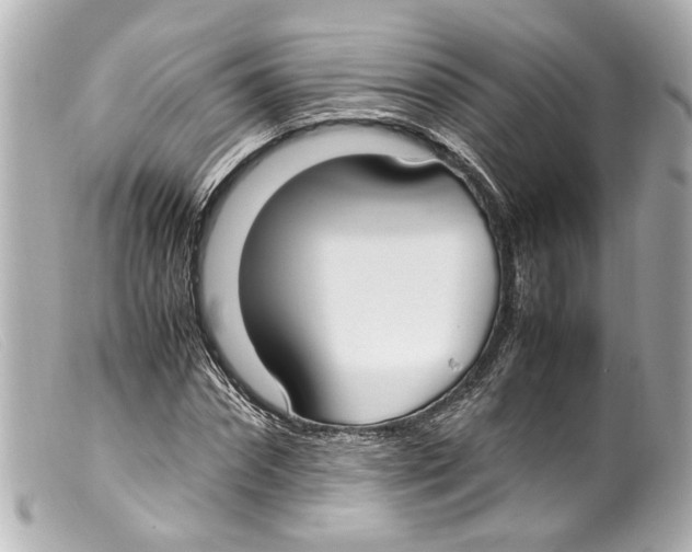 X0000099400874200805291208