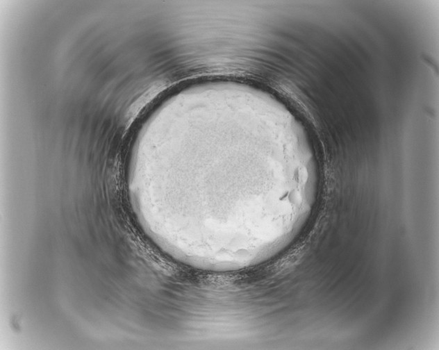 X0000099400875200805291208