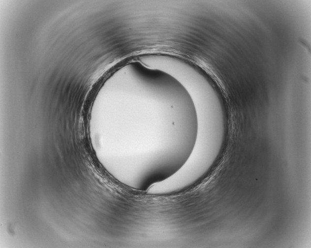 X0000099400876200805291208