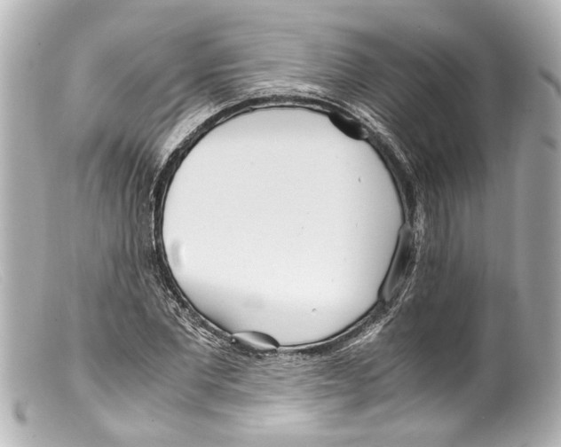 X0000099400877200805291208