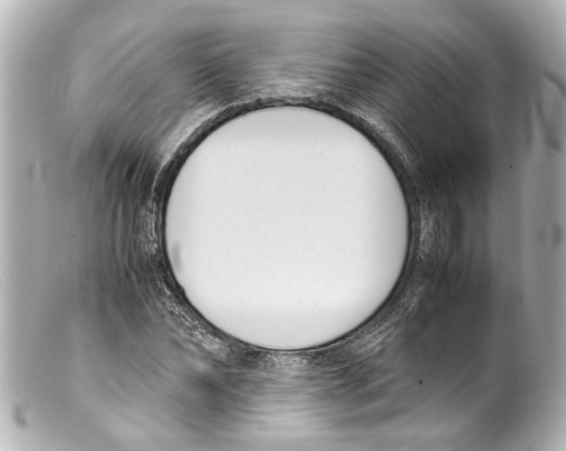 X0000099400878200805291208