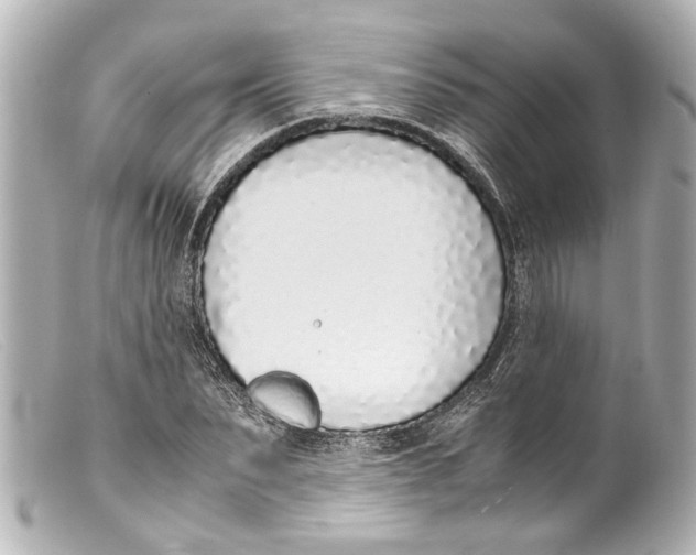 X0000099400879200805291208