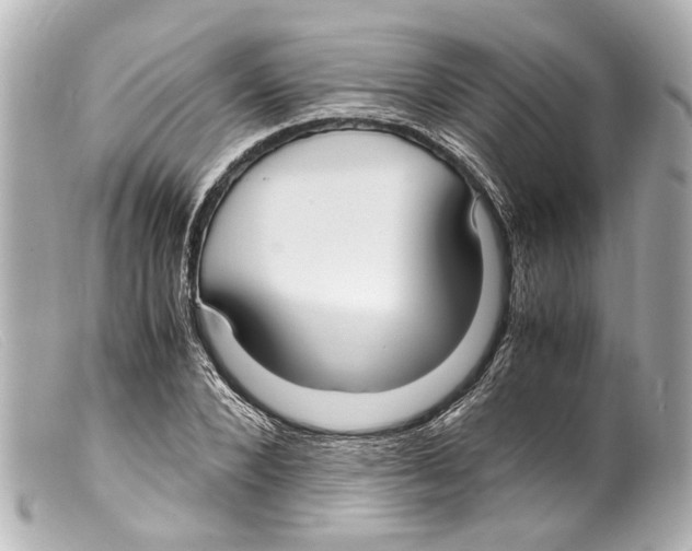 X0000099400880200805291208