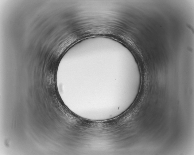 X0000099400881200805291208