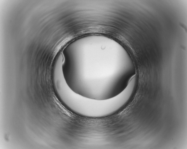 X0000099400882200805291208