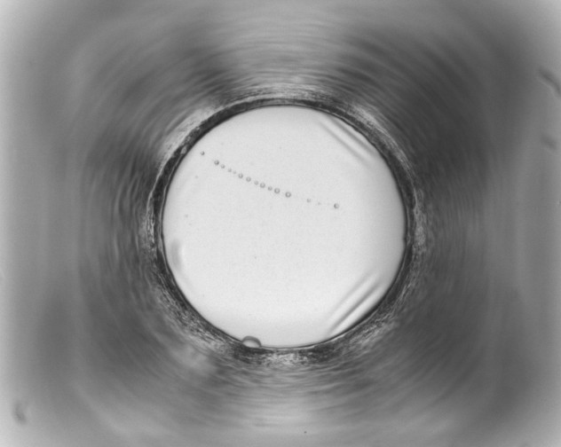 X0000099400883200805291208