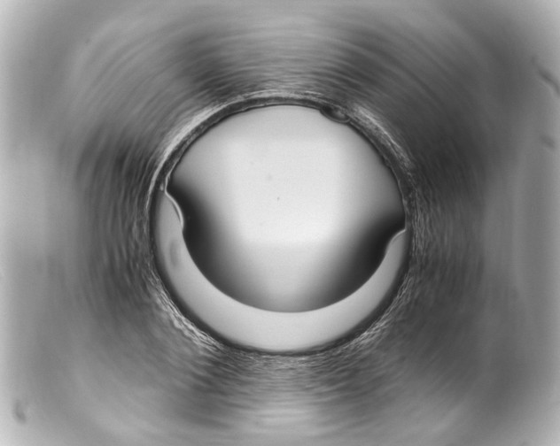 X0000099400884200805291208