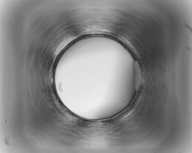 X0000099400885200805291208