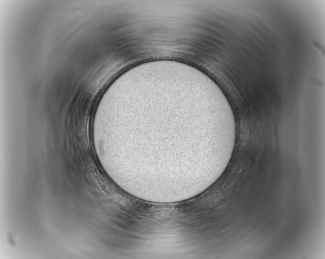 X0000099400886200805291208