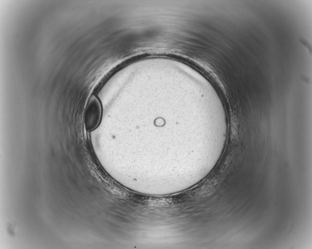 X0000099400887200805291208