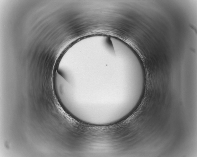 X0000099400888200805291208