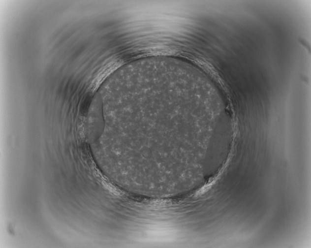 X0000099400889200805291208