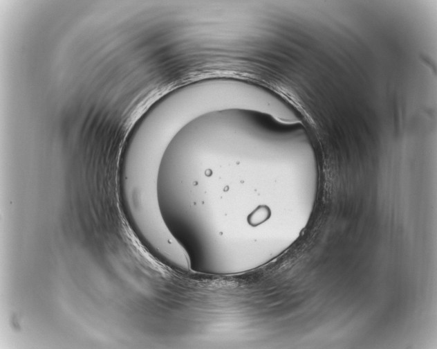 X0000099400890200805291208